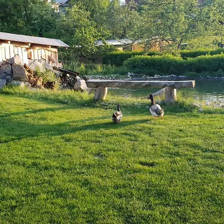 Dubravska Basta Tatil Evi *